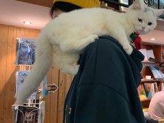 -彳亍咖啡·这里(水湾路店)