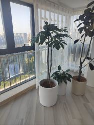 -HEYAN荷妍专业脱毛连锁机构