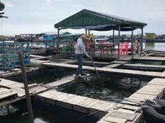 鱼箱-海上驿站渔家菜馆