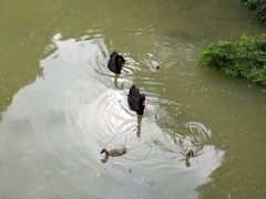 -广州市帽峰山景区