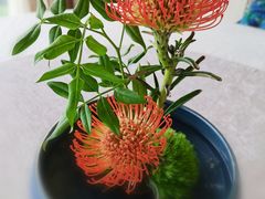 -三利音·浦之舟(滨江大道店)