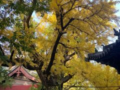 -晋祠公园