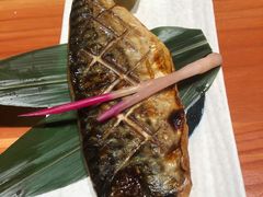 盐烤青花鱼-文三酒肆自助放题(新街口友谊广场店)