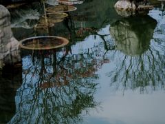 -东方艺术博物馆