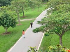 -中国科学院西双版纳热带植物园