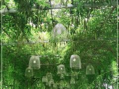 -武汉紫薇都市田园