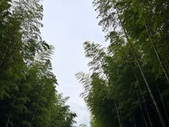 -天目湖御水温泉·度假酒店