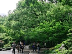 -山外山菜馆(玉泉路店)