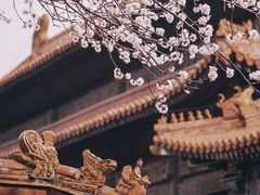 -故宫博物院(故宫)