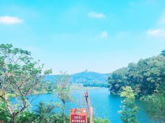 -红花湖景区
