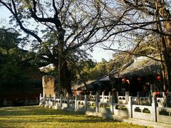 -潭柘寺景区