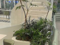 -大树餐厅(万达创始店)