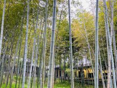 -求雨山文化公园