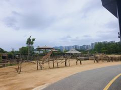 -杭州野生动物世界