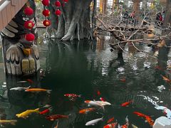 -南宫五洲植物乐园