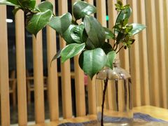 -扫雪煮茶(西村店)