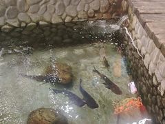-耕渔小院·湖南鱼鲜(望城店)