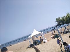 -碧海金沙