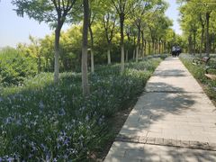 -天津东丽湖风景区