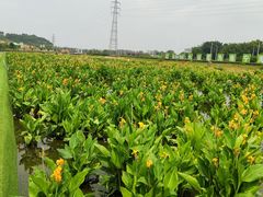 -那考河湿地公园