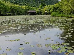 -兰亭风景区