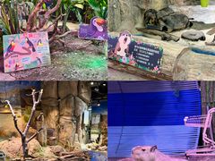 -正佳雨林生态植物园