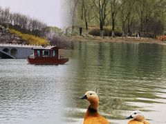 -河北省园博园