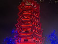 -洋湖国家湿地公园
