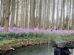 -肯德基(孝陵卫地铁站店)