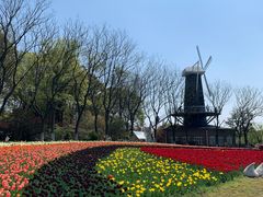 -上海鲜花港