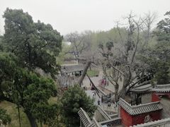 -晋祠公园
