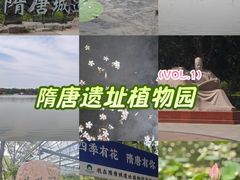 -洛阳市隋唐城遗址植物园