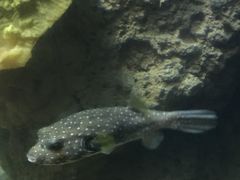 -多彩贵州城极地海洋世界