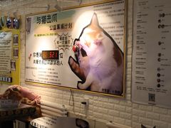 -平行世界·猫咖(首经贸店)