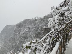 -张家界天门山国家森林公园