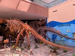 -陕西自然博物馆