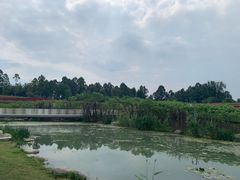 -天府芙蓉园
