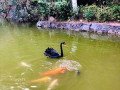 -水濂山森林公园