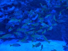 -成都浩海立方海洋公园