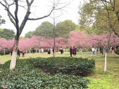 -范蠡湖公园