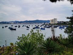 -海源公园