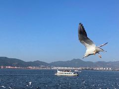 -海埂大坝