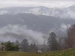 -老秃顶草原景区