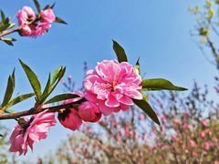 -北京西山国家森林公园