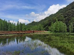 -广州市石门国家森林公园