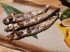 烤多春鱼-慢走(甜水园店)