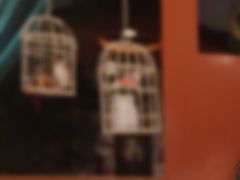 -咕嘟草帽鱼·牛奶一样的鲜鱼汤(包河万达广场创始店)