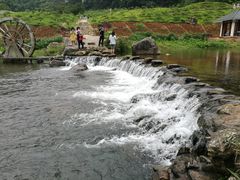 -广州市石门国家森林公园