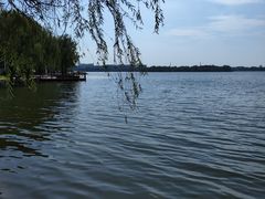 -丁香湖公园