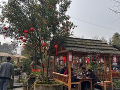 -青城甲(青城山店)